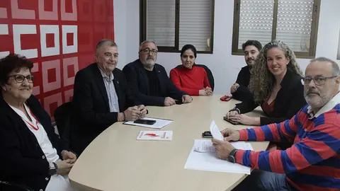 REUNION CCOO INSERSO