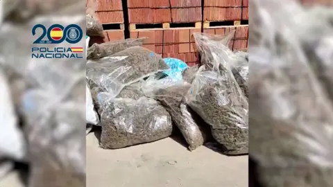 Parte de la mercanc&iacute;a incautada / Cedida