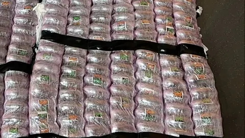 Hach&iacute;s aprehendido en el puerto