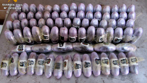 La Guardia Civil intercepta 20 kilos de hach&iacute;s en el embarque hacia Algeciras 