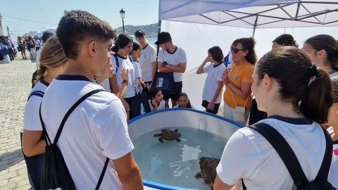 Estudiantes ceut&iacute;es celebran el D&iacute;a Mundial del Medio Ambiente / Laura Ortiz