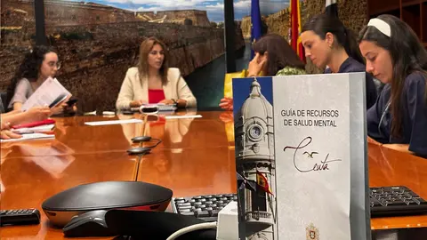 Presentaci&oacute;n de los Recursos de Salud Mental