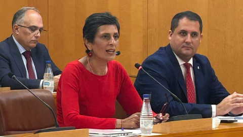 La consejera de Hacienda, Kissy Chandiramani, durante una de sus intervenciones plenarias / Archivo