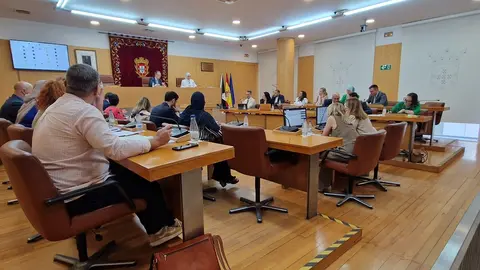 Pleno de la Asamblea /Archivo