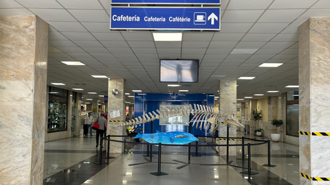 Estaci&oacute;n mar&iacute;tima / Alma Palomino