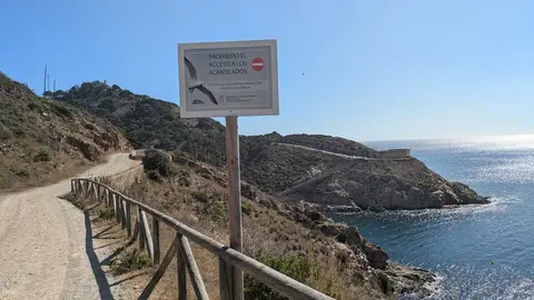 Tiempo