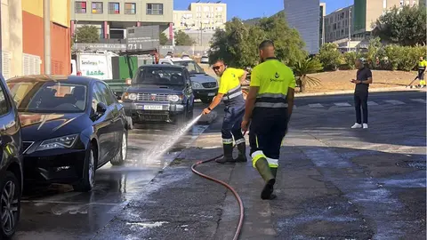 Limpieza en Loma Colmenar