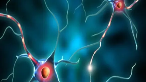 NEURONAS