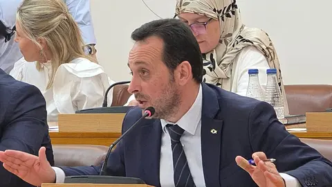 Juan Sergio Redondo, portavoz de Vox, durante una sesi&oacute;n plenaria / Laura Ortiz