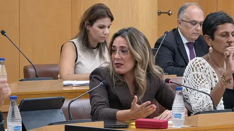 Pilar Orozco durante una de las sesiones plenarias / Laura Ortiz