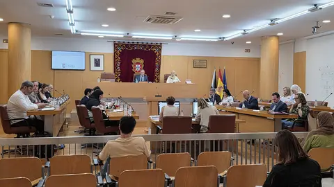 Sesi&oacute;n plenaria / Archivo
