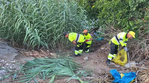 Plan de proximidad en el Sarchal / Alma Palomino