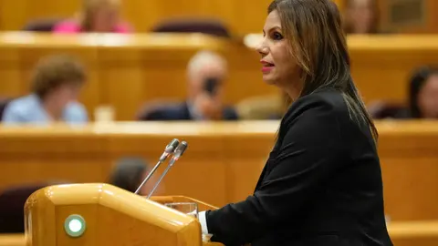 Nabila Benzina durante su intervenci&oacute;n en el Senado