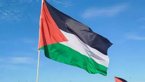  Manifestaci&oacute;n por Palestina en Benz&uacute; 
