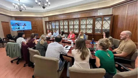 Mesa Sectorial de Sanidad / Cedida
