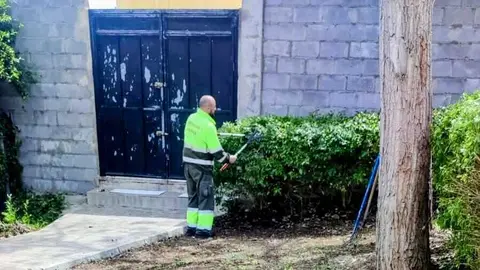  Brigadas verdes / S. I&ntilde;esta 