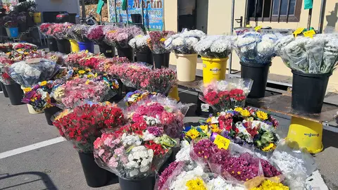 Puestos de flores en Santa Catalina / C&eacute;sar Mart&iacute;n