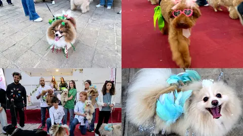 Desfile Marina Dog en la Semana del Comercio