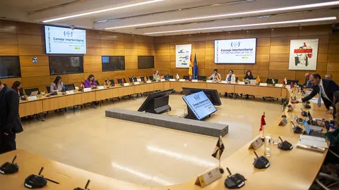 Consejo Interterritorial del Sistema Nacional de Salud