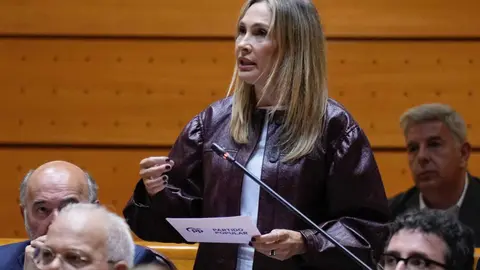 La senadora Cristina D&iacute;az durante su intervenci&oacute;n en el Senado / PP