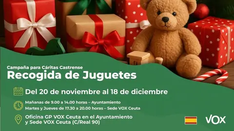 Campa&ntilde;a de recogida de juguetes de Vox / Vox