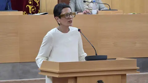 Chandiramani defiende las enmiendas del PP apoy&aacute;ndose en el refuerzo de las pol&iacute;ticas educativas. Foto: Laura Ortiz