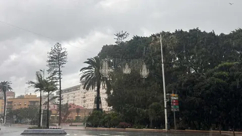 Cielos cubiertos y lluvias  / Alma Palomino