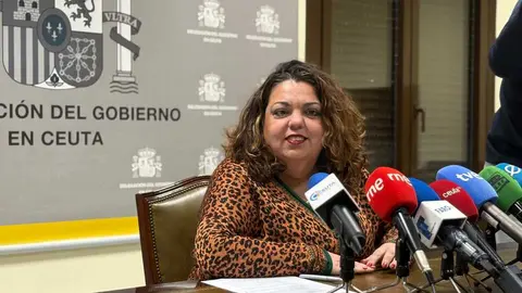 La delegada del Gobierno antes de comenzar su intervenci&oacute;n / Alma Palomino