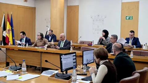 Sal&oacute;n de plenos / Laura Ortiz
