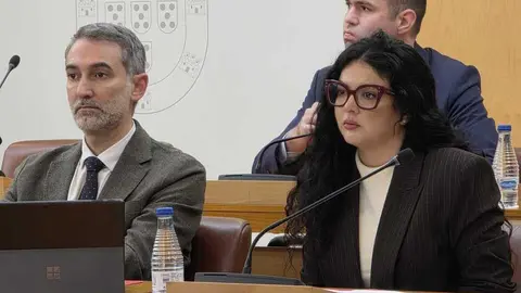 PSOE. Sesi&oacute;n plenaria / Laura Ortiz