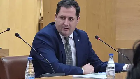 Alejandro Ram&iacute;rez durante una sesi&oacute;n plenaria / Laura Ortiz