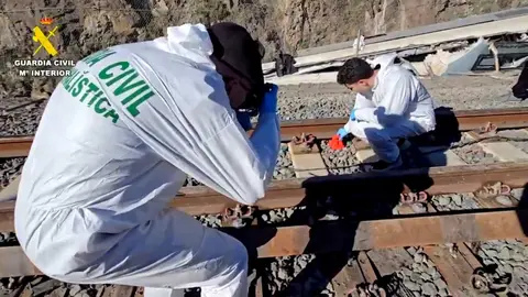 Tr&aacute;gico accidente ferroviario en Adamuz (C&oacute;rdoba). Imagen distribuida por la Guardia Civil (5)