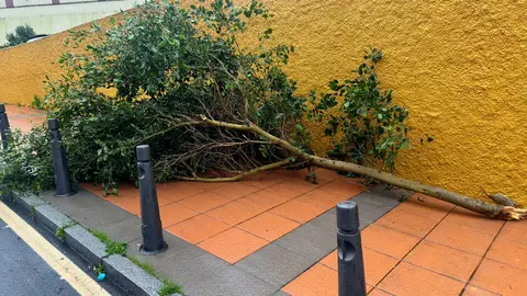 Efectos del fuerte temporal en Ceuta. Foto: Mohamed Ettouileb