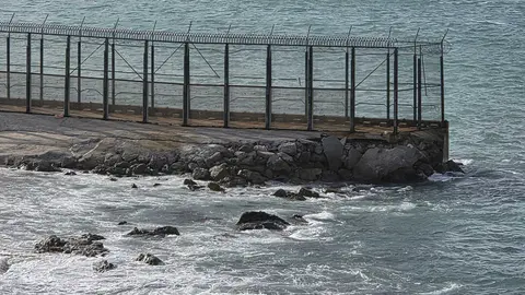 Espig&oacute;n de Benz&uacute;