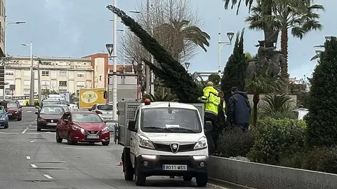 Incidencias del temporal