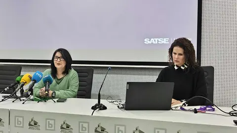 Presentaci&oacute;n de la Encuesta de SATSE en el biblioteca p&uacute;blica / C&eacute;sar Mart&iacute;n