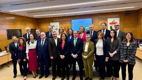 Pleno del Consejo Interterritorial del Sistema Nacional de Salud