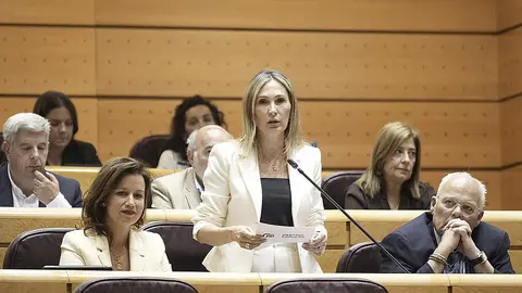 La senadora Cristina D&iacute;az en el Senado