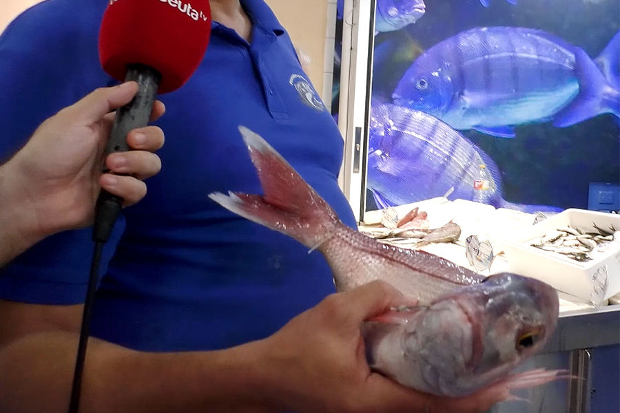 PARGO