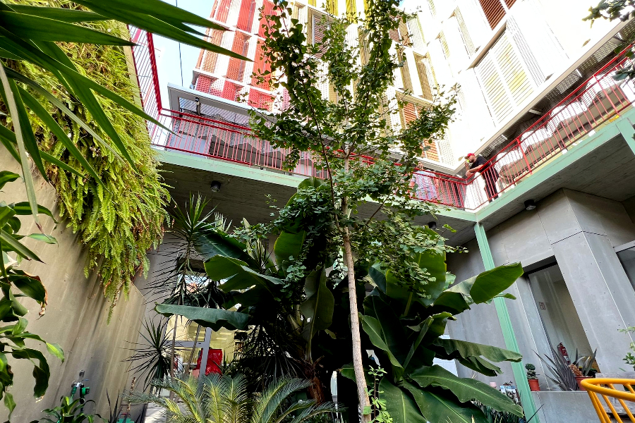 Jardín vertical de Cruz Roja / Daniel Hernández