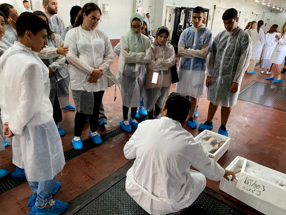 Los alumnos de Comercio y marketing visitan el Puerto de Algeciras  (4)