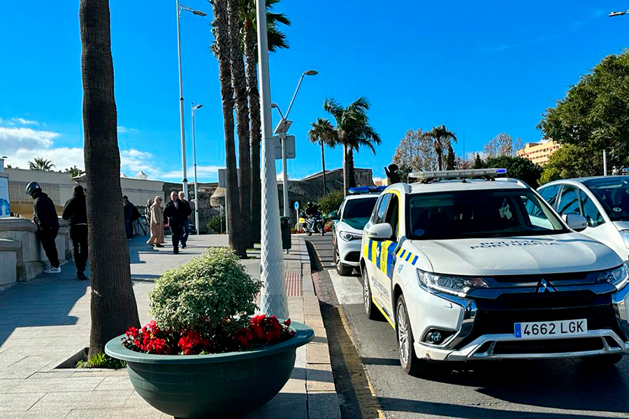 Aparece una tortuga muerta en el Foso de San Felipe / Mohamed Ettouileb