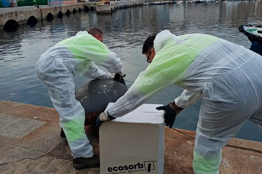 Simulacro de vertidos en el Muelle Alfau / Autoridad Portuaria