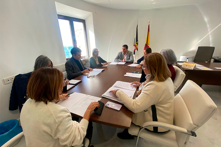 COMISIÓN DE ACCESIBILIDAD 2