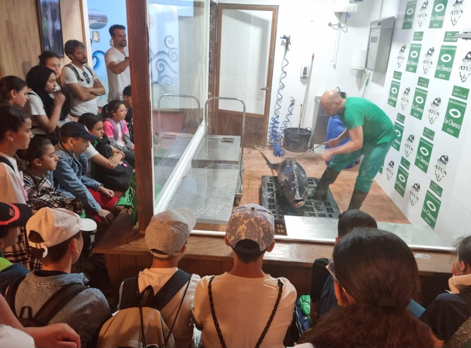 Los alumnos, en el Museo del Atún/ Cedido