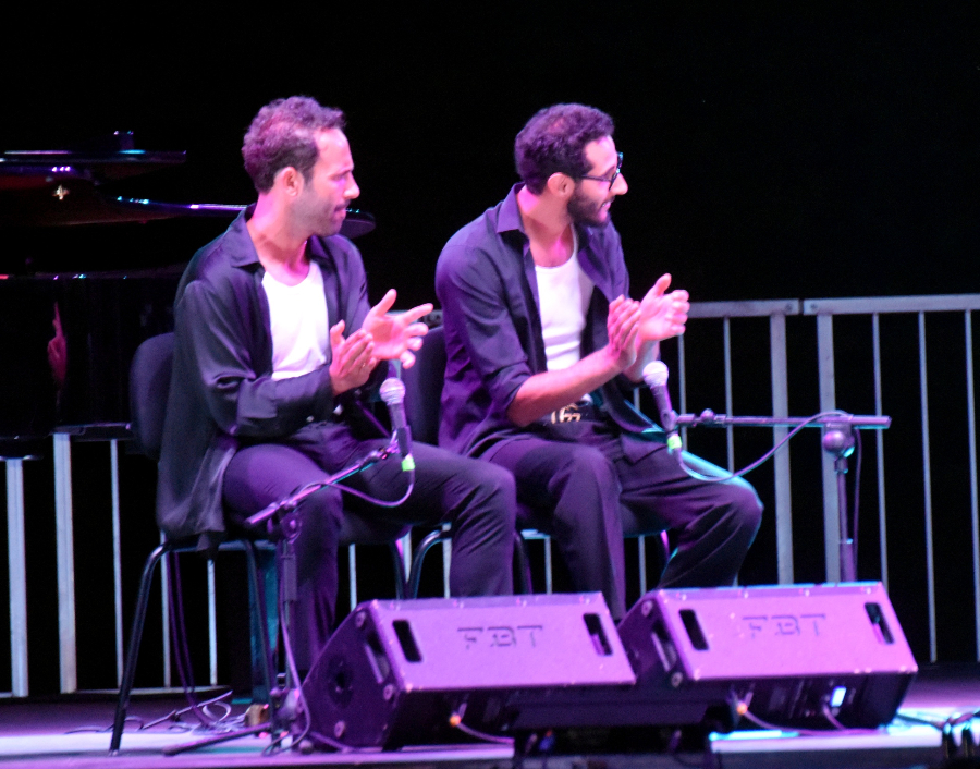 festival flamenco(4)
