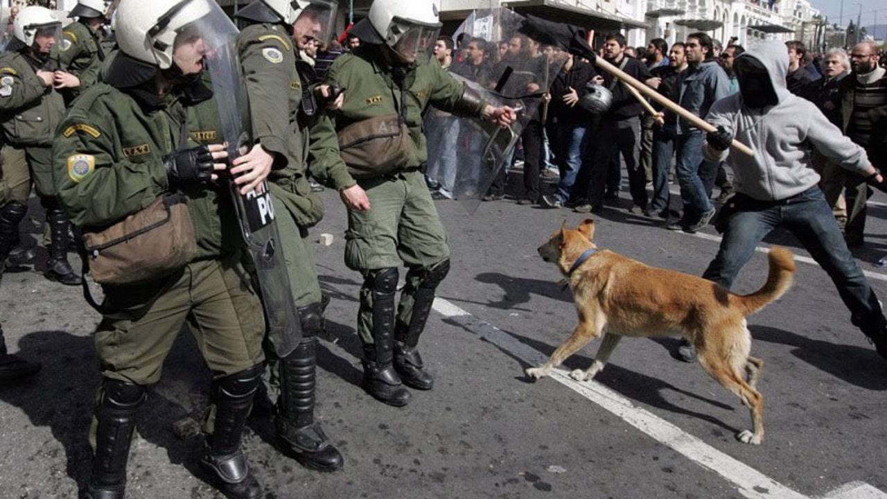Lukanikos: el perro 'anarquista' que siempre ladraba a la Policía griega