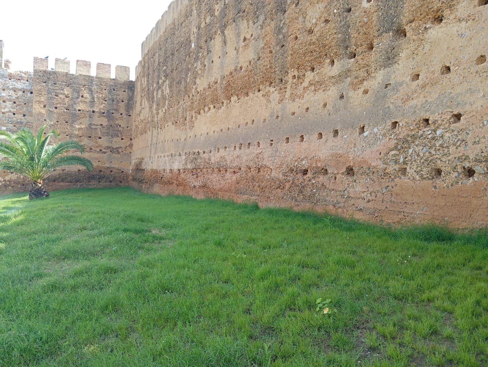Murallas Meriníes