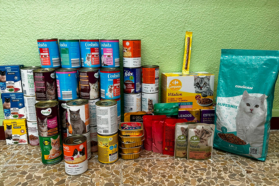 Recolecta de comida para gatos de los Alumnos del Ortega y Gasset