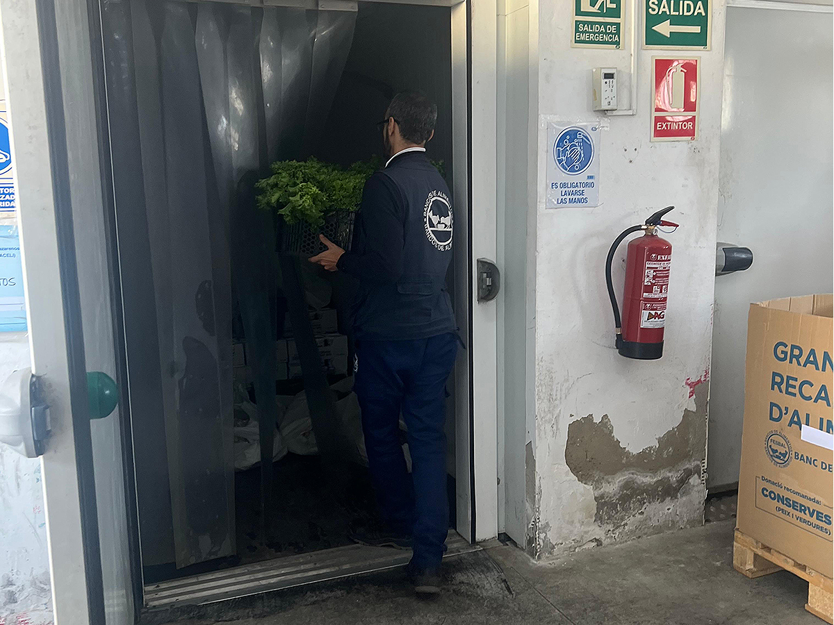 Proyecto Tándem